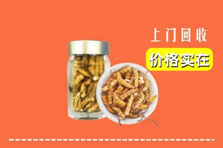 罗山县回收散虫草