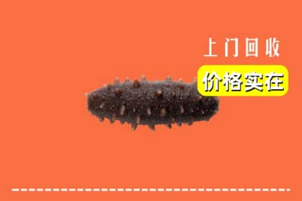 罗山县回收海参