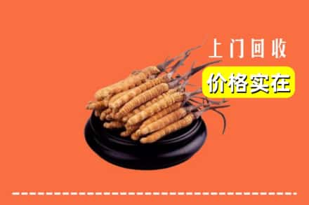 罗山县回收冬虫夏草